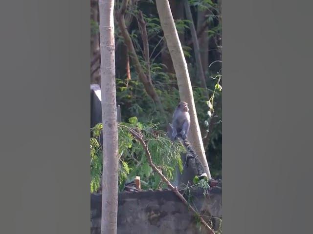 Video thumbnail for #shorts