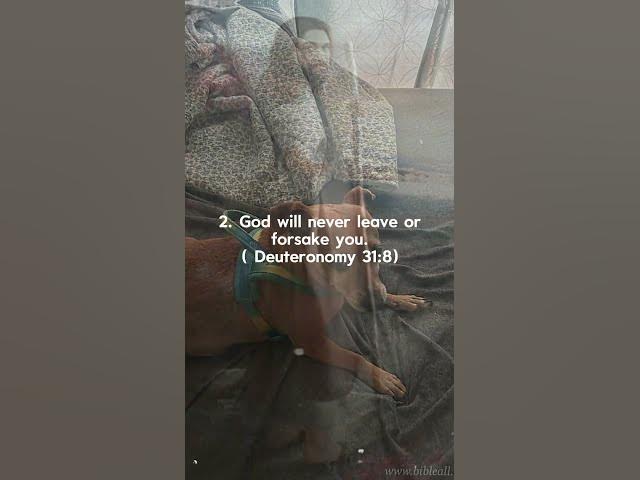 Video thumbnail for Things God will never do