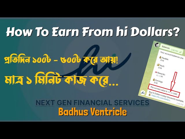 'Video thumbnail for How To Earn From hi Dollars?'