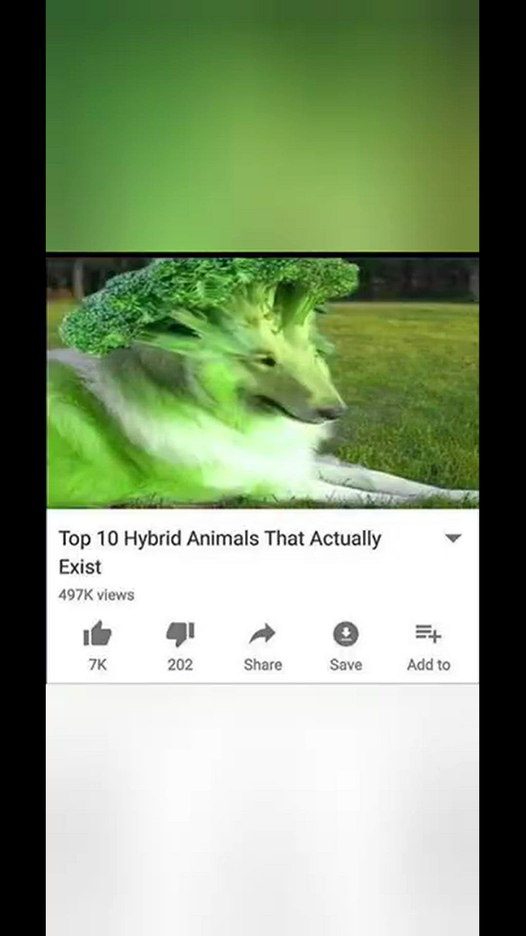 'Video thumbnail for funny memes that will make you laugh #328 || legend memes || funny relatable memes 😃 #shorts'