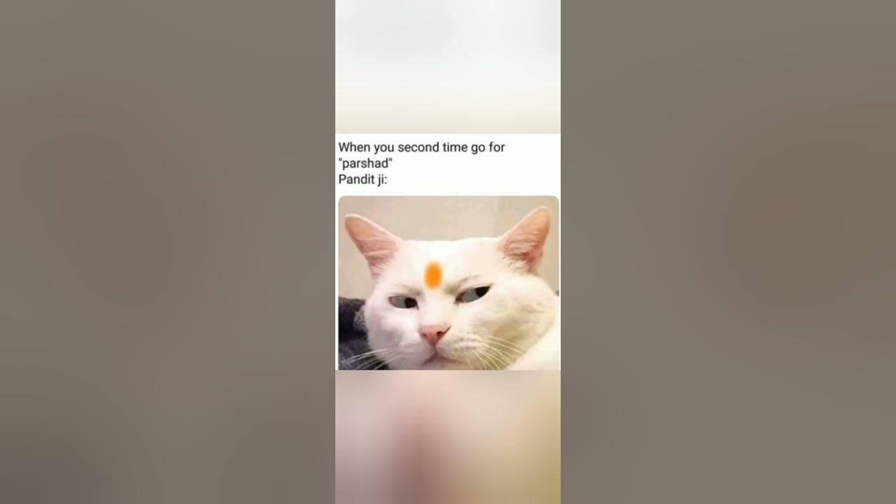 'Video thumbnail for funny memes that will make you laugh #612 || legend memes ||  funny relatable memes 😂 #memes #shorts'