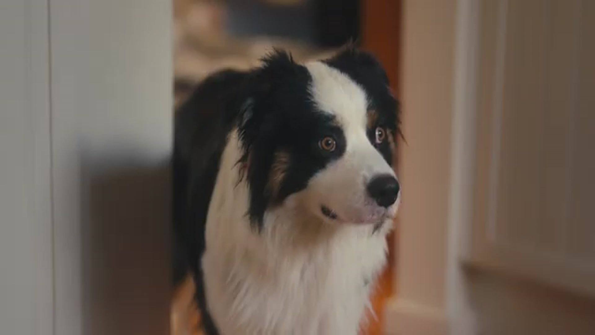 Video thumbnail for Lok lak: The best Cambodian Pepper Beef : You've  never tried.