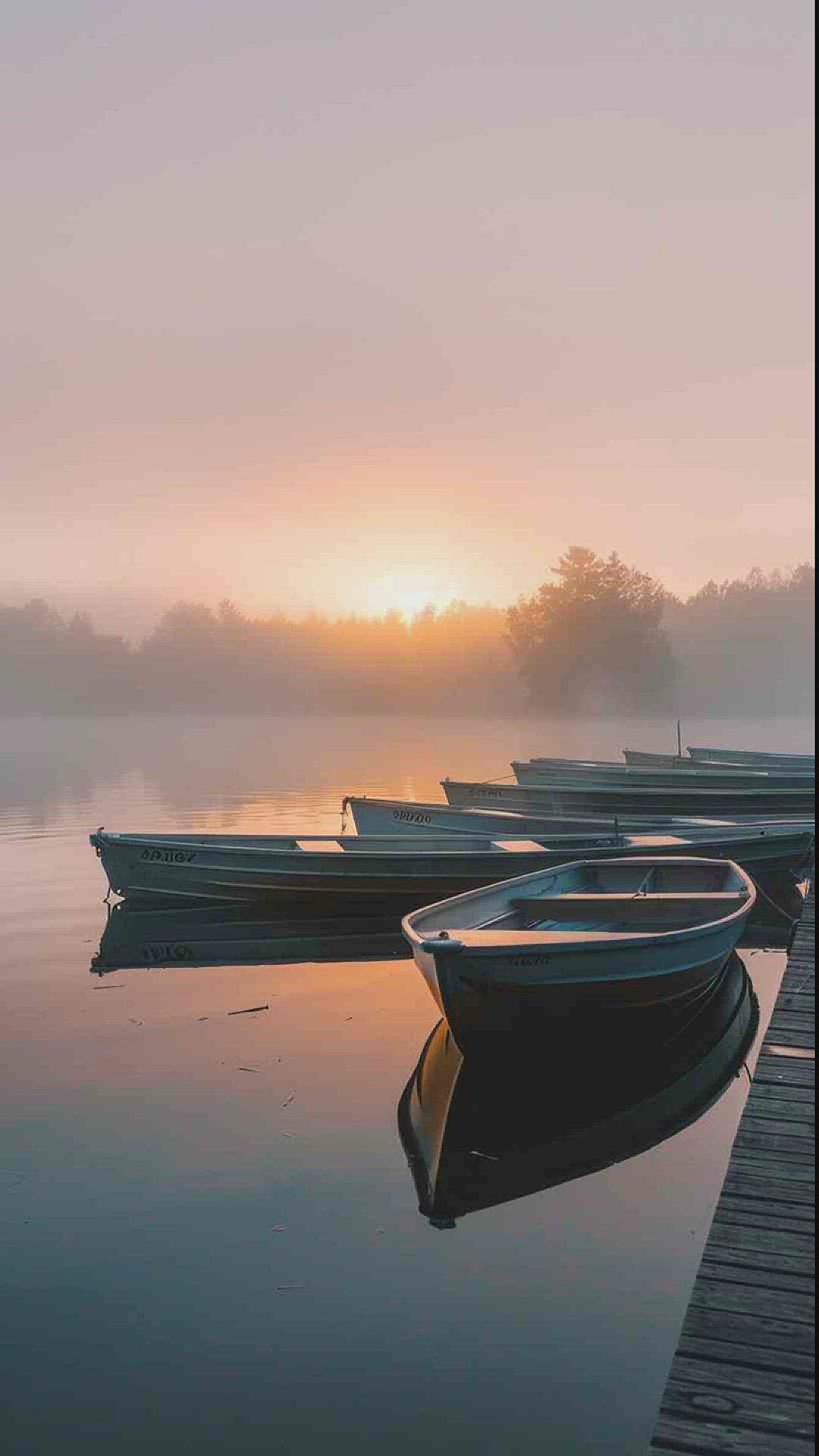 'Video thumbnail for pics of pontoon boats'