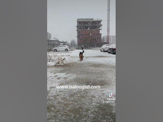 'Video thumbnail for THE NEW YEAR CELEBRATIONS DIFFICULT FOR'