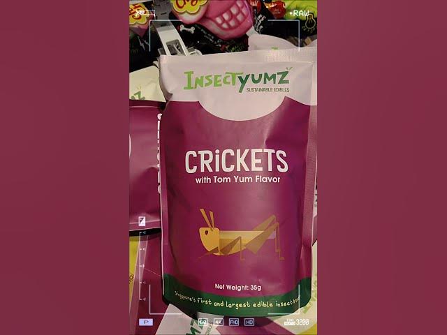 Video thumbnail for InsectyUmz selling Tom Yum flavored crickets π¦π #EdibleInsects #InsectyYumz