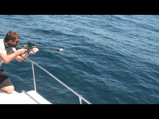 'Video thumbnail for The incredible technique used to attach cameras to orcas'