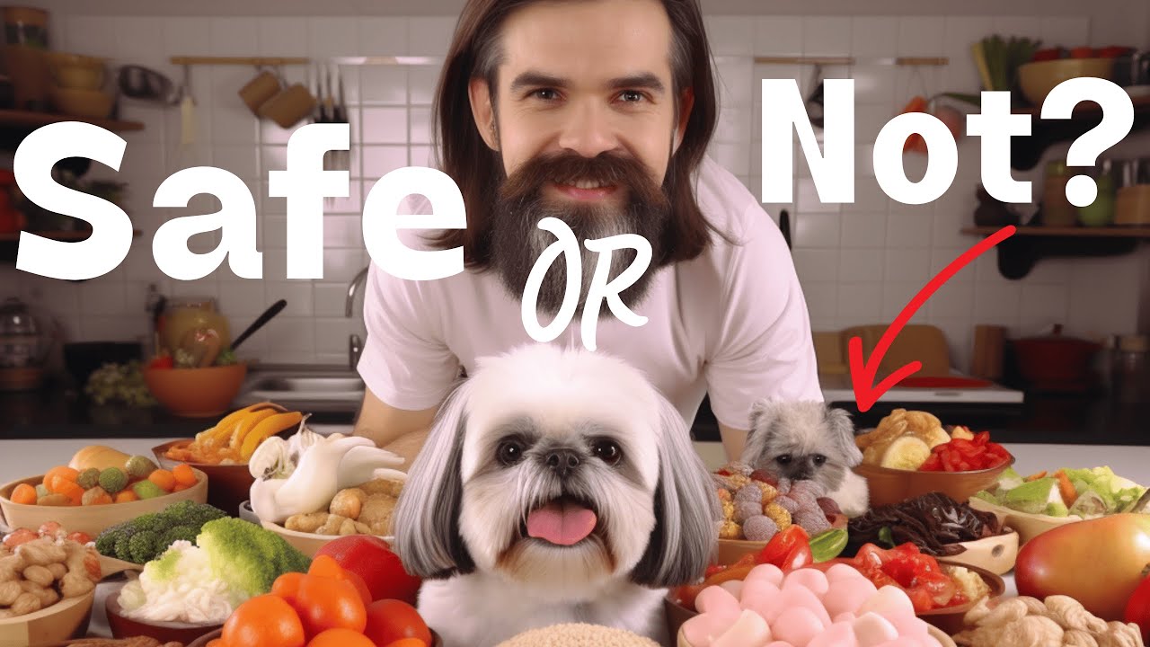 'Video thumbnail for 11 Human Foods that are actually HEALTHY for Shih Tzus!'