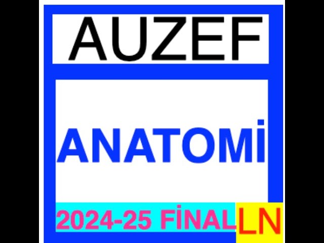 'Video thumbnail for Auzef Anatomi 2024-2025 Final Soruları'