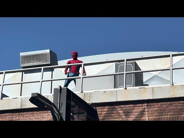 'Video thumbnail for Amazing Spider-Man at Disney California Adventure Avenger's Campus 🕷 #amazingspiderman #disney'