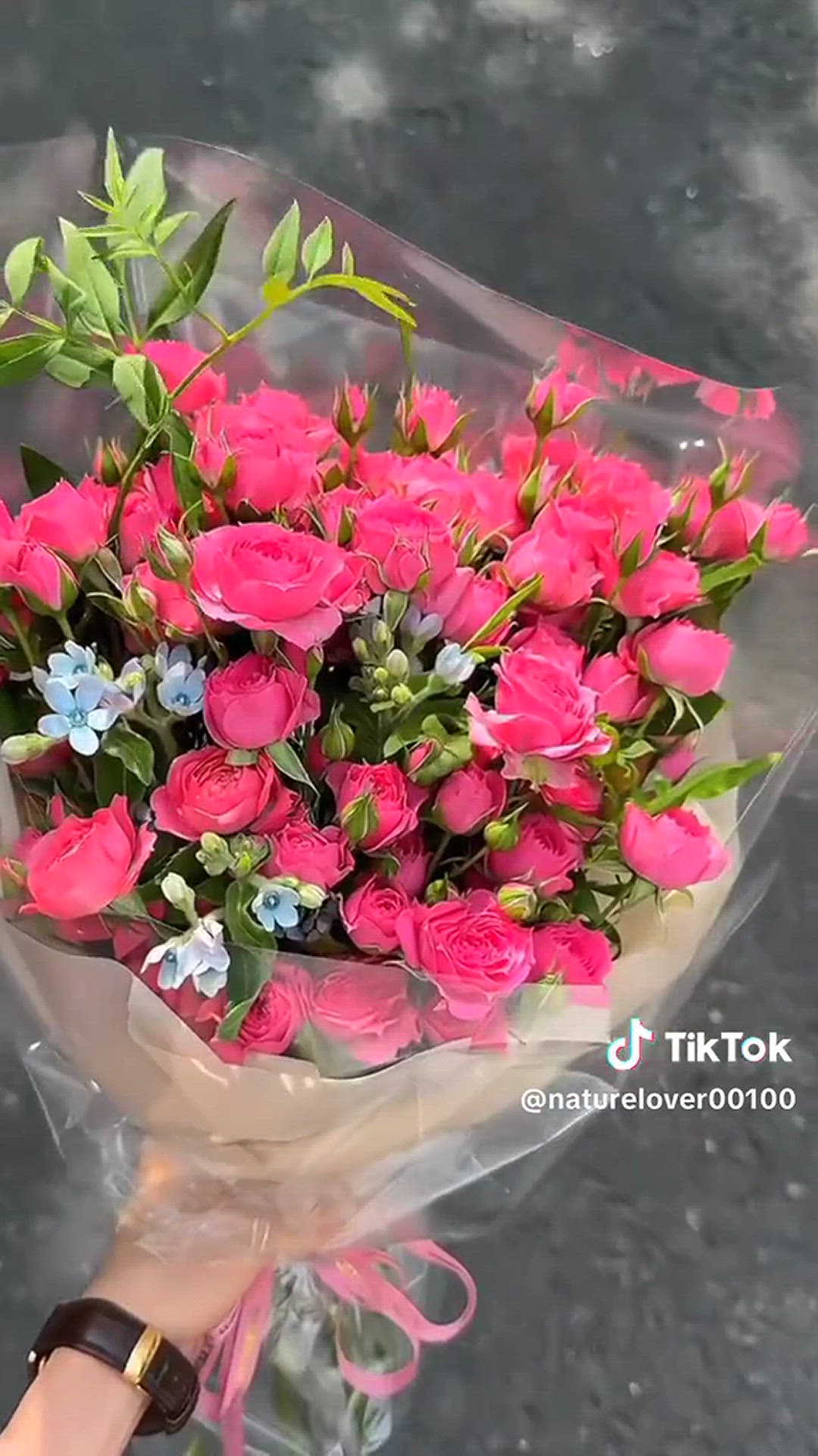 Video thumbnail for Naturally relax Rain