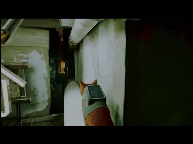 Video thumbnail for Stray