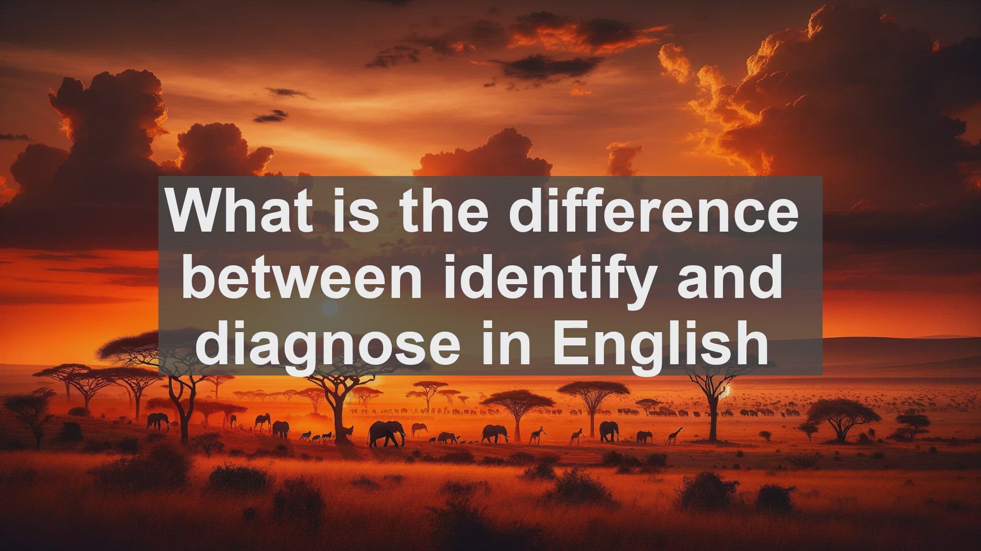 'Video thumbnail for What is the difference between identify and diagnose in English?'