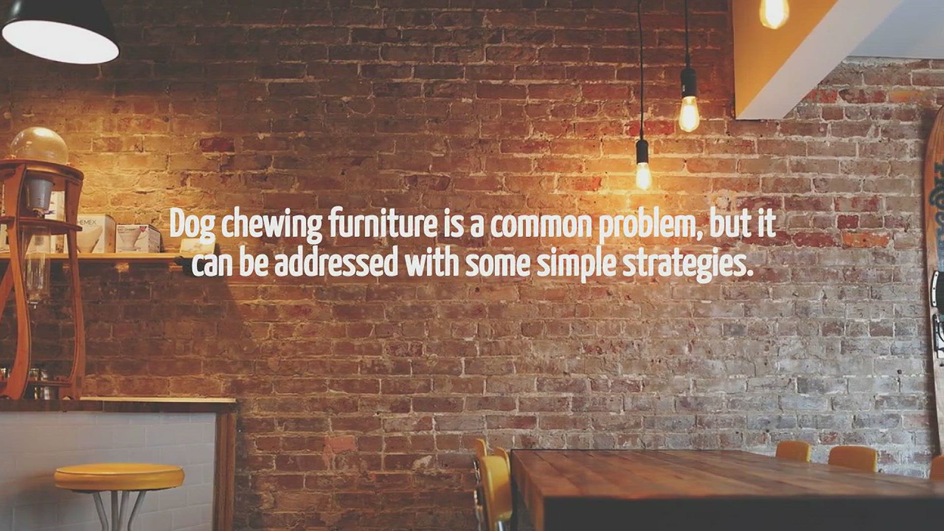 Video thumbnail for How To Stop Dog Chewing Furniture