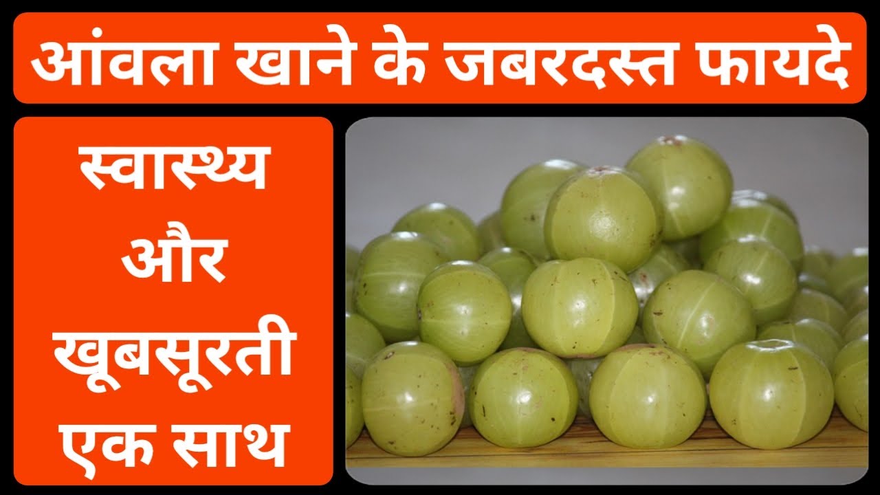 Video thumbnail for आंवला खाने के फायदे | आंवला खाने से क्या होता है | आंवला खाने का फायदा बताएं | amla khane ke fayde