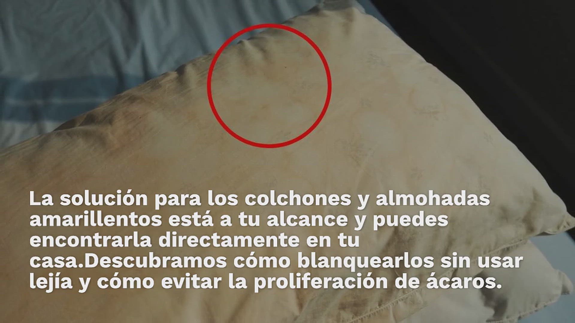 Video thumbnail for Colchones y almohadas amarillentos, cómo blanquearlos sin usar lejía
