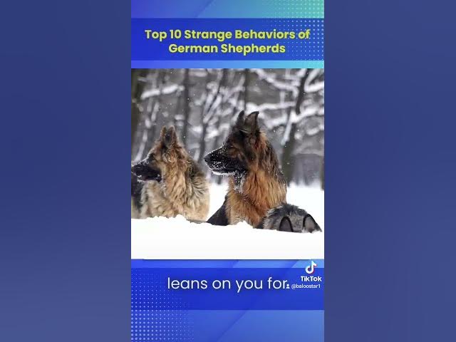 Video thumbnail for Gsd 101 2023 10 23 081930352