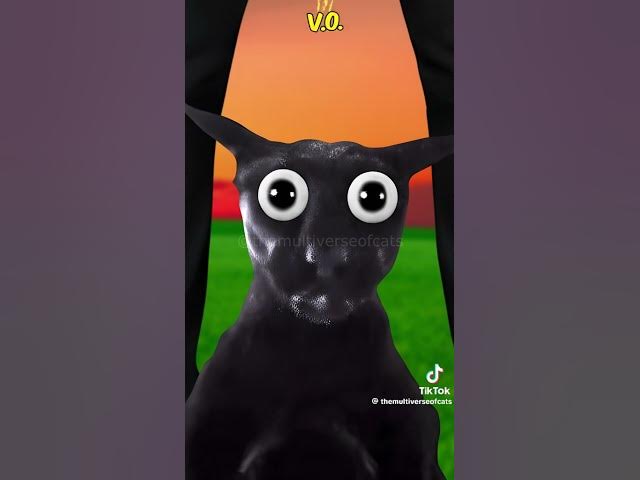 Video thumbnail for #lifeisbutadream