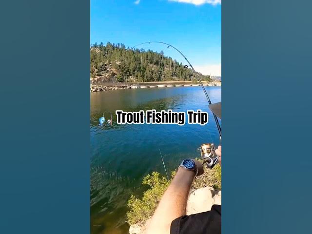 Video thumbnail for 🎣 Fishing Mountains Lake for HUNGRY Trout #troutfishing