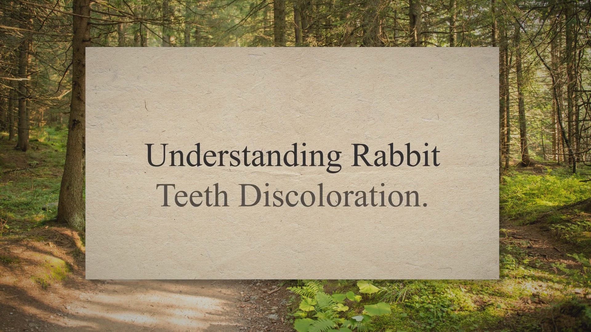 Video thumbnail for Caring for Your Rabbit: Addressing Teeth Discoloration
