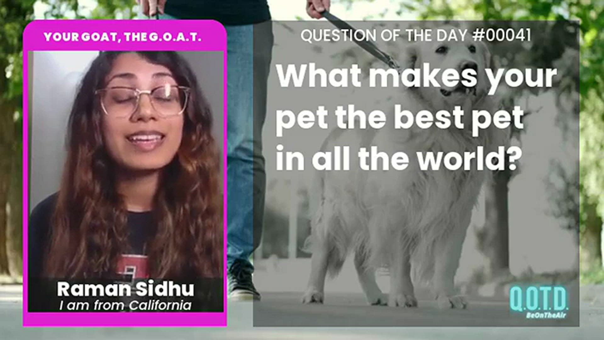 Video thumbnail for Raman's small dog has big confidence, and a bark bigger than his bite!