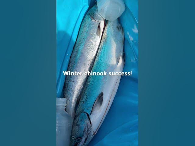 'Video thumbnail for Do you run your boat all winter? Winter chinook is often the reward!'