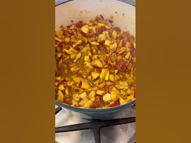 Video thumbnail for Quiet forest after the rain, no elk sightings, but lots of yummy lobster mushrooms 🍄🟫!