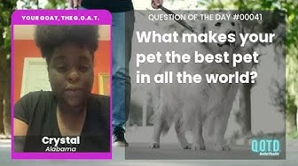 Video thumbnail for Crystal's dog was very playful, and holds special family importance!