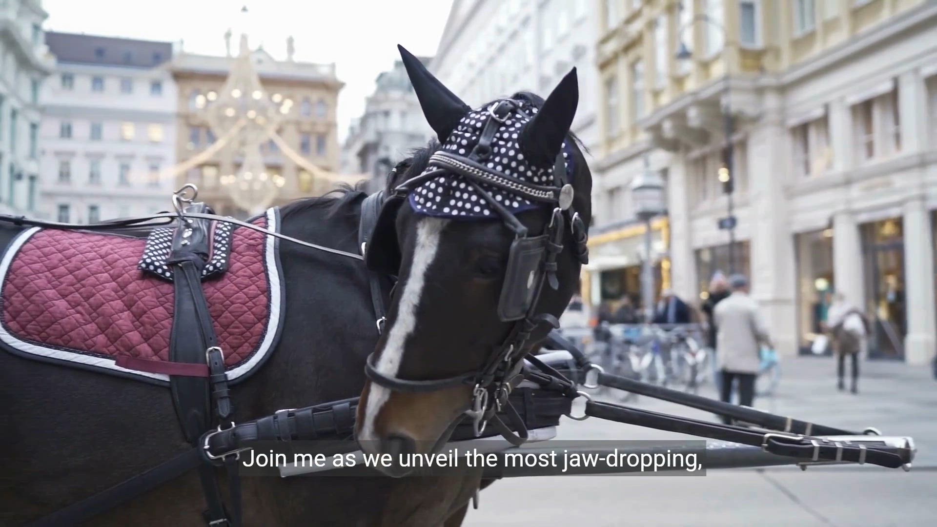 Video thumbnail for Unveiling the World's Most Expensive Horse Sale | Equestrian Luxury Showcase