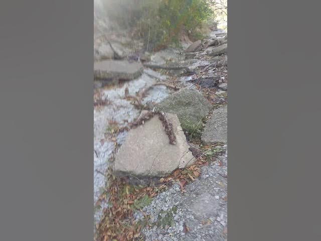 Video thumbnail for Kids at the park exploring the creek.