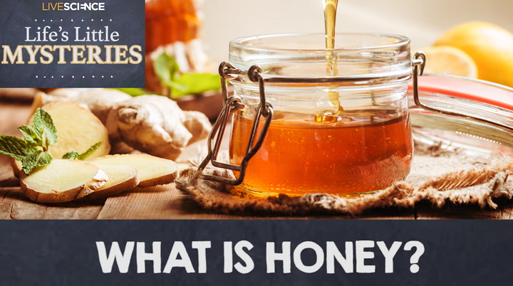 Video thumbnail for What Exactly Is Honey Made Of?