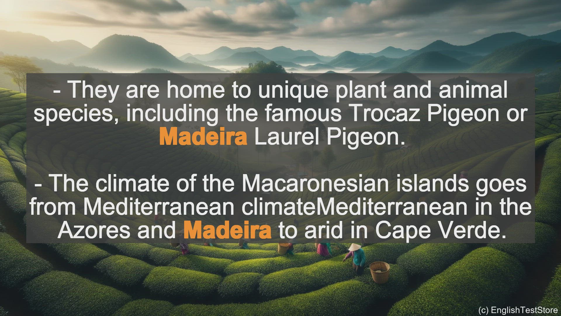 'Video thumbnail for Madeira In Sentences - Examples Of Madeira In Sentences'