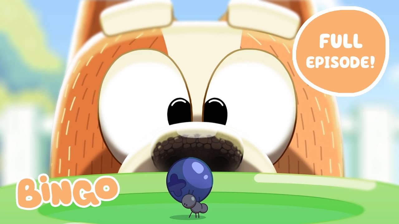 Video thumbnail for Bingo FULL EPISODE Bluey Series 2