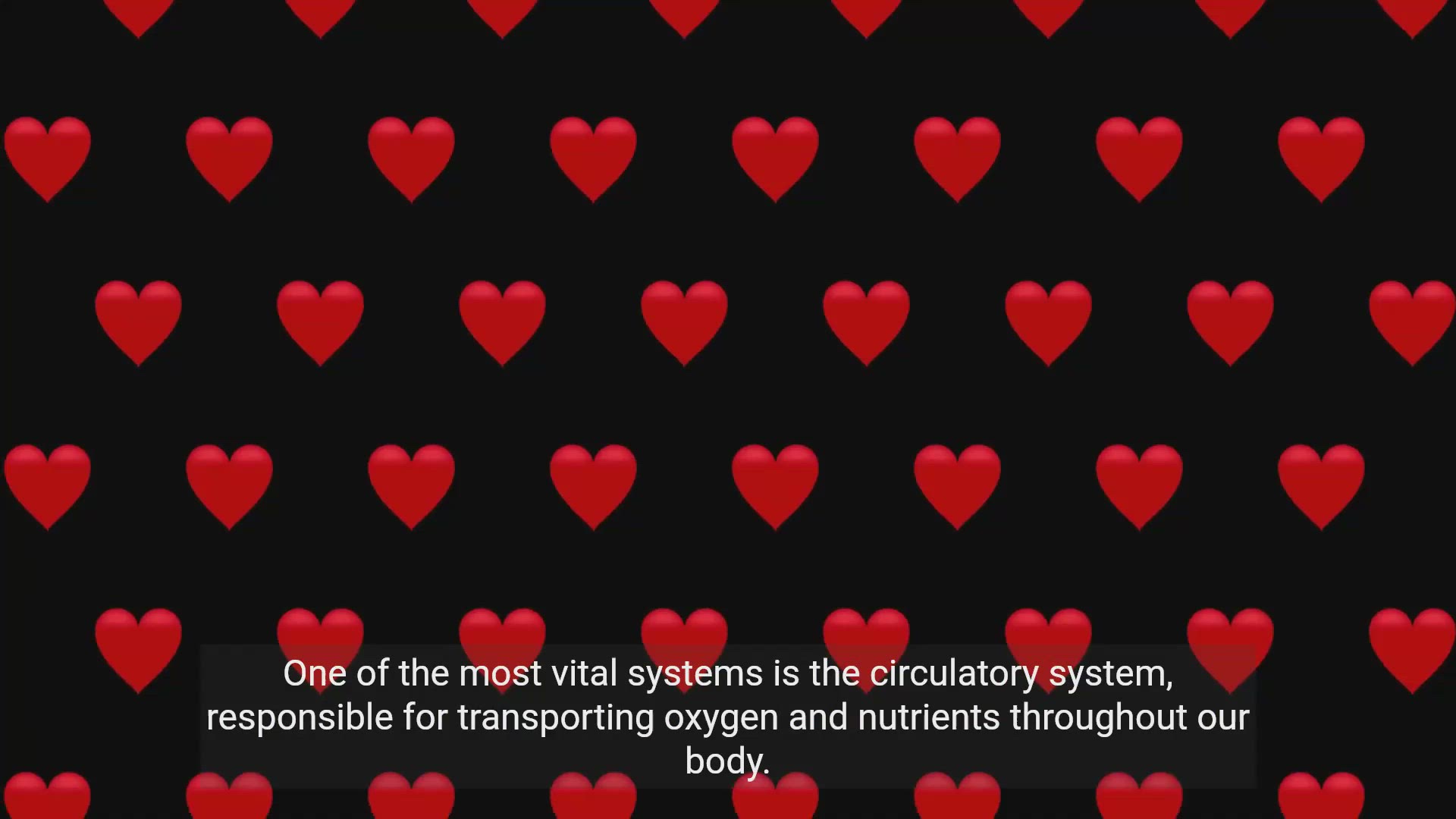 'Video thumbnail for Exploring the Human Body: A Biology Journey'