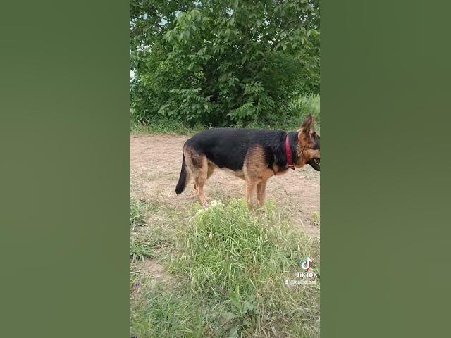 Video thumbnail for 27 mai 2024