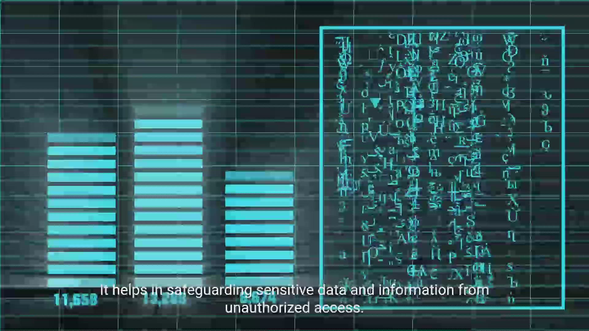 'Video thumbnail for The Importance of Network Security Software'