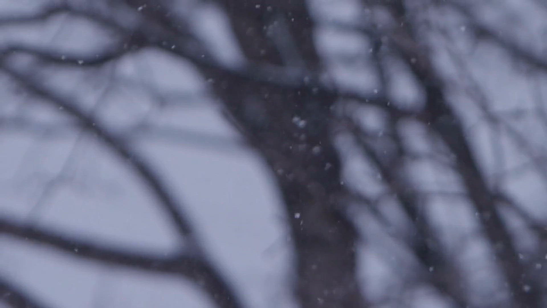'Video thumbnail for Buffalo Weather Snow Forecasts, Winter Storm Warnings, & Travel Advisories'