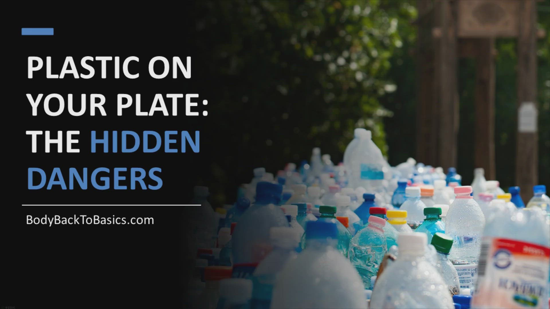 'Video thumbnail for Plastic on Your Plate: Unveiling the Hidden Dangers and Empowering Solutions to Microplastics in Food'
