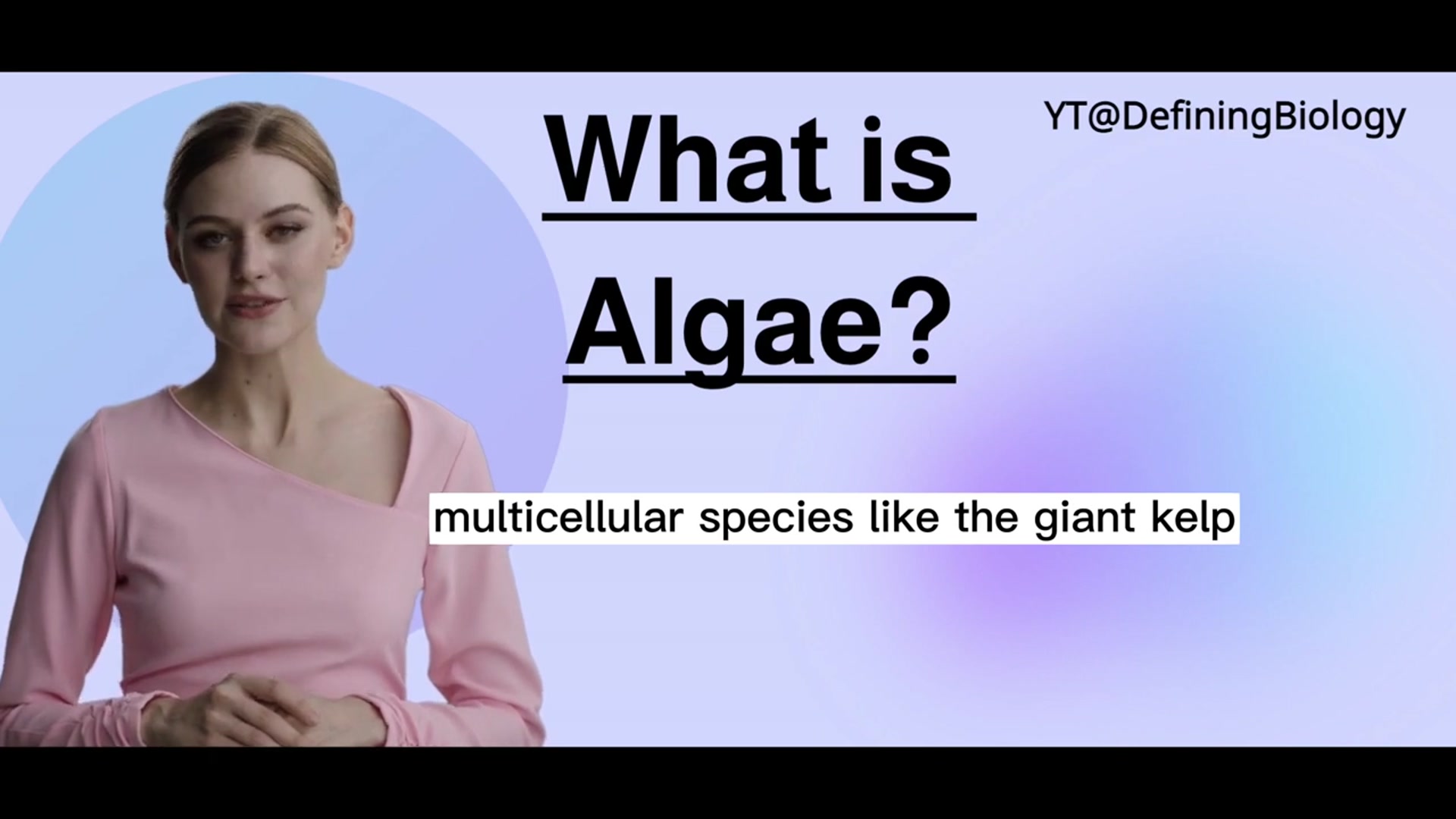 'Video thumbnail for What Is Algae?   Biology Definitions'