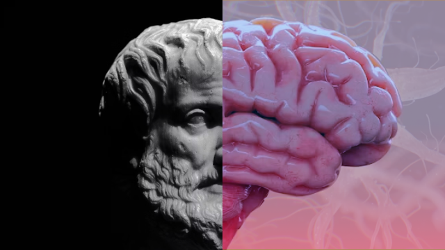 Video thumbnail for Is free will a fallacy? Science and philosophy explain.
