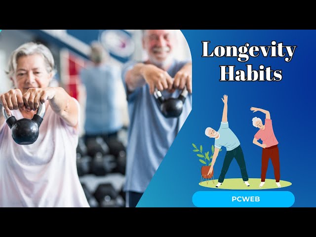 Playlist thumbnail for All about longevity, a detailed guide