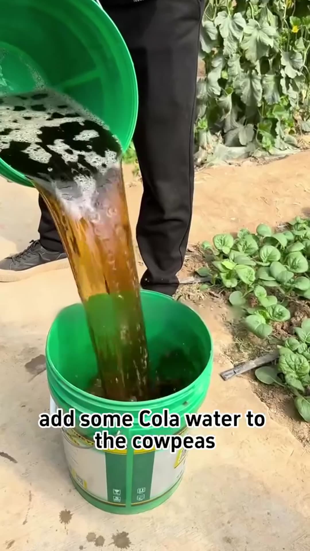 Video thumbnail for Gardens tips