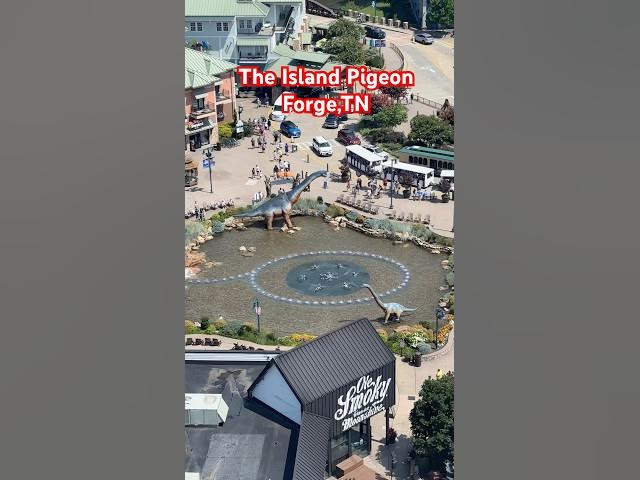 Video thumbnail for The Island Pigeon Forge,Tn #pigeonforge