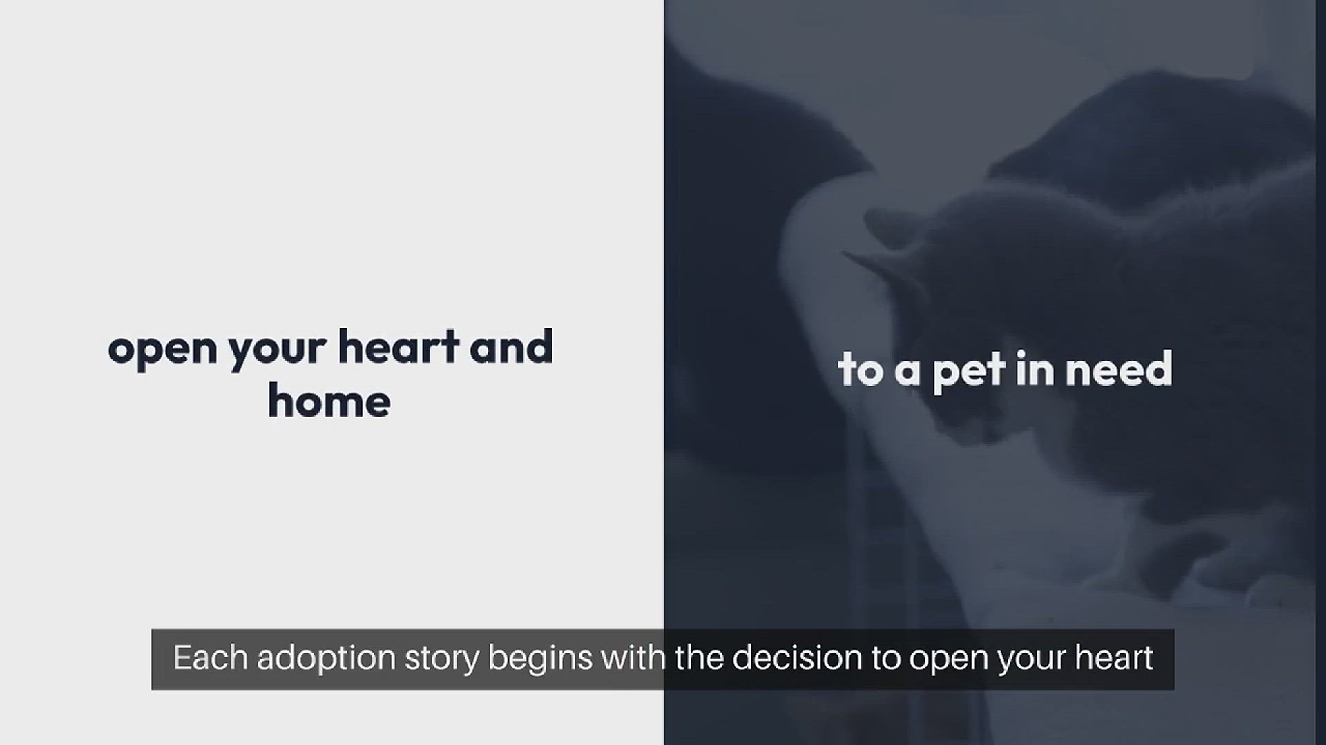 Video thumbnail for Adopting a Pet Rescued with Hope