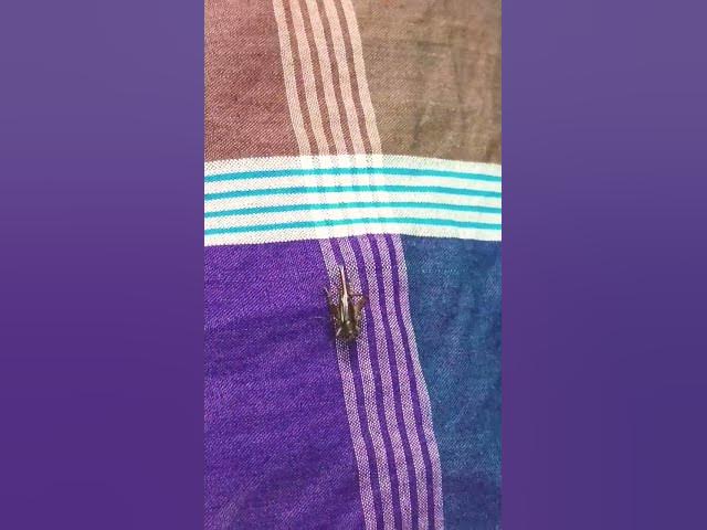 Video thumbnail for poke 📯📯📯📯📯 #anime #onepunchman