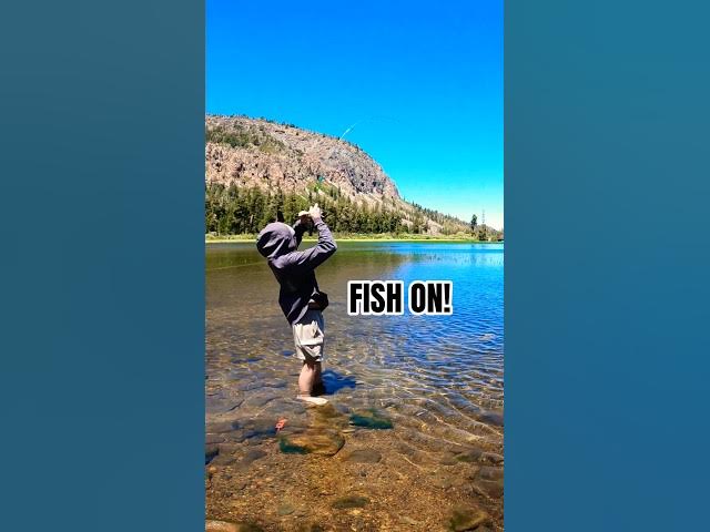 Video thumbnail for High Altitude Trout Adventures: Chasing Giants with the Boys!