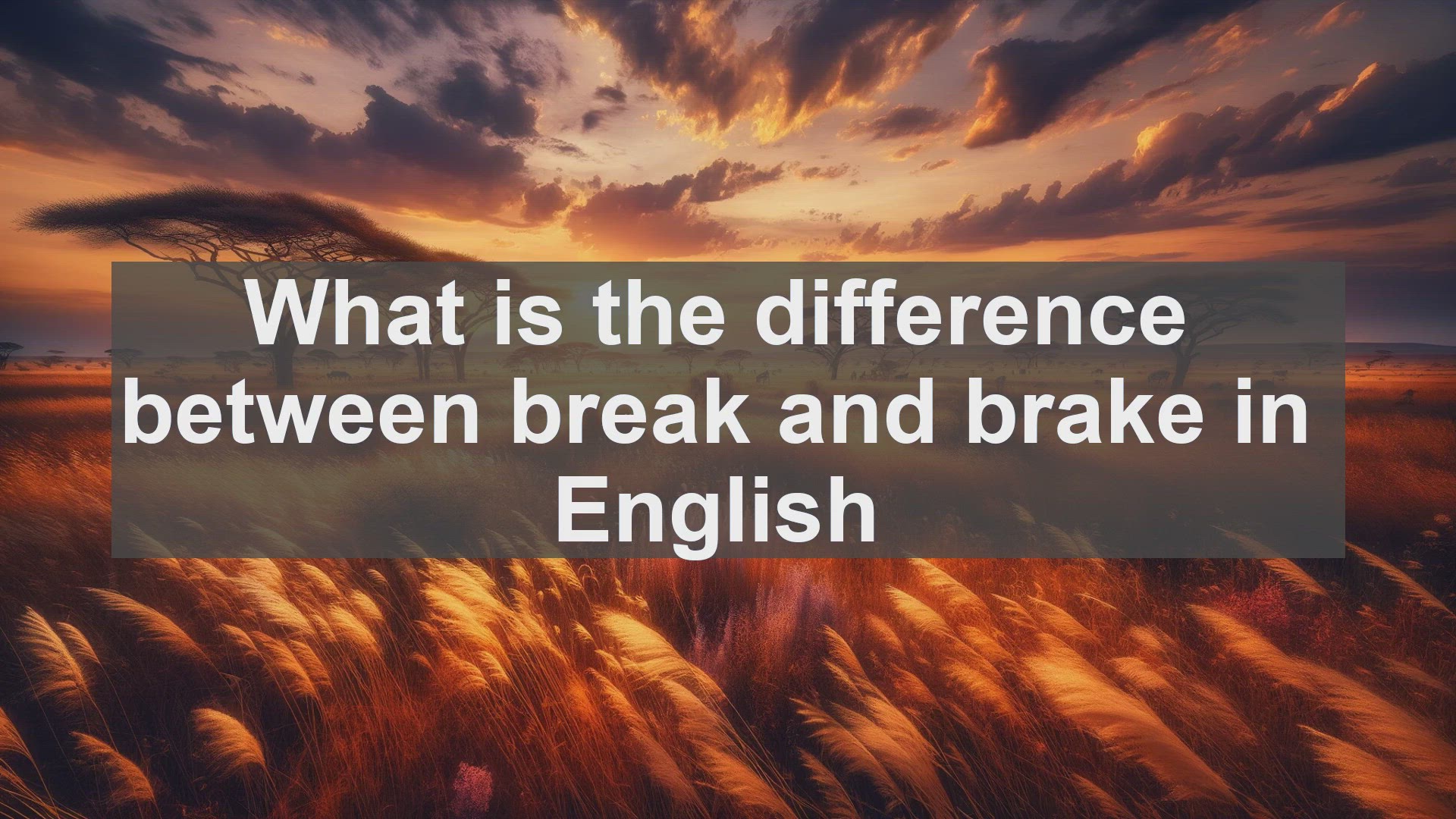 'Video thumbnail for What is the difference between break and brake in English?'