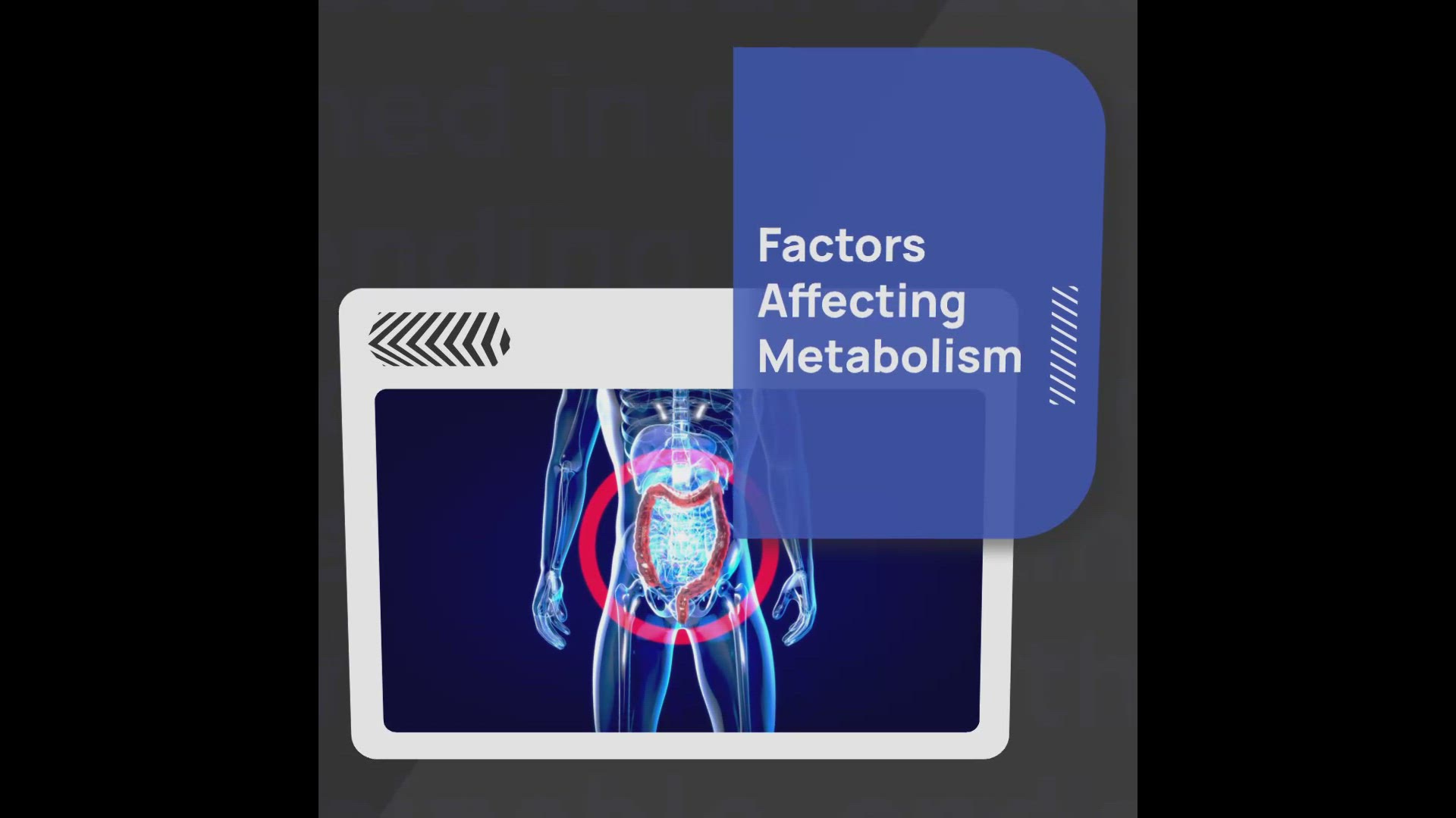 'Video thumbnail for Factors Affecting Metabolism'