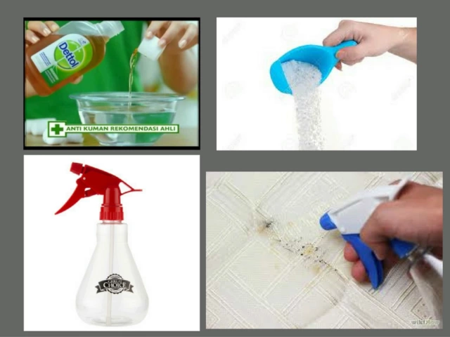 Video thumbnail for How to kill bed bugs at home | How to control bed bugs at home | Bed bugs home remedy