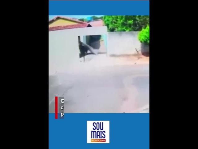 'Video thumbnail for Cavalo desgovernado não consegue parar e derruba portão em Goiânia (GO)'