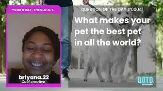 Video thumbnail for Briyana thinks her dog has had past lives. Nothing beats life experience!